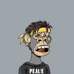 Peaceful Ape Social Club collection image