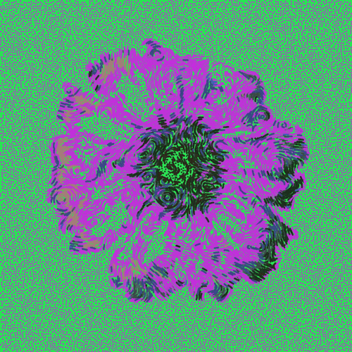 Gerbera Daisy Green