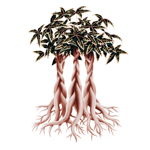 Money Trees with Khufu