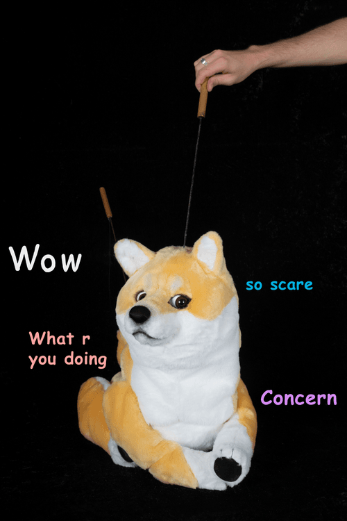 Doge (with text)