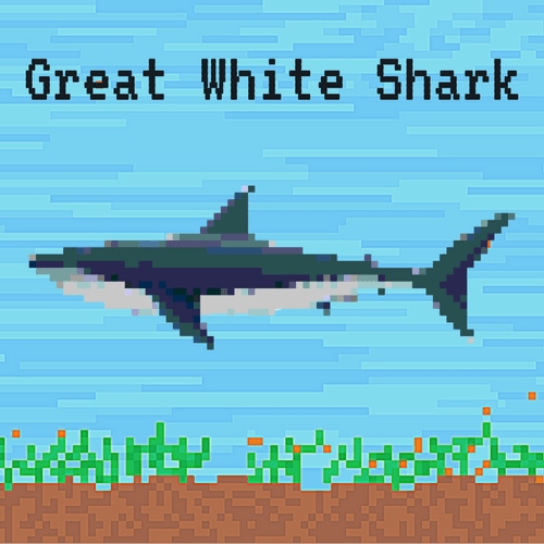 Great White Shark