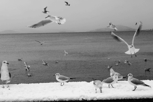 Landing