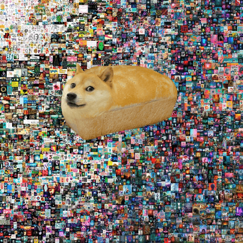 The First 5000 Doges