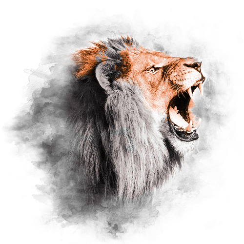 ORANGE SERIES - LION