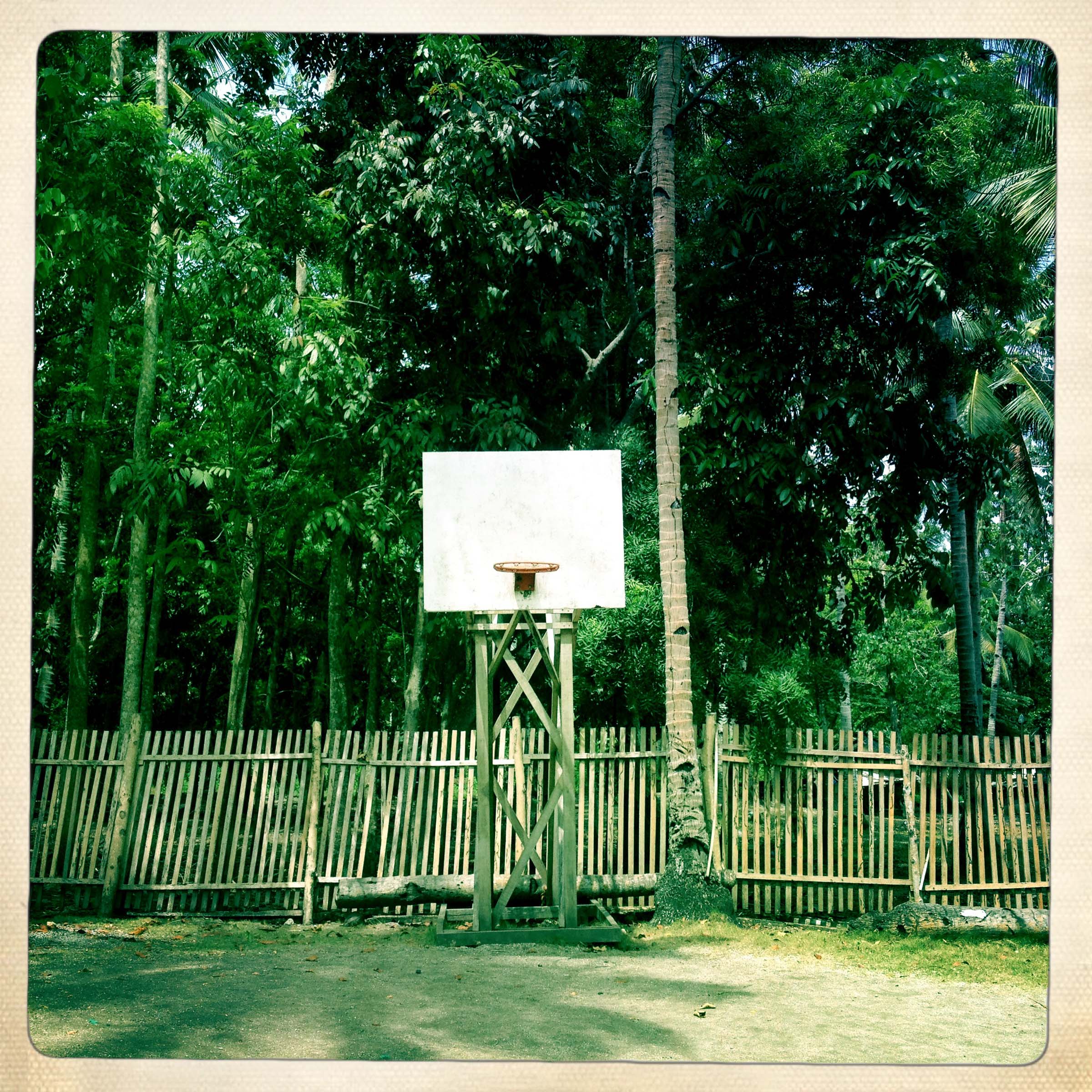Basketball Landscape #12