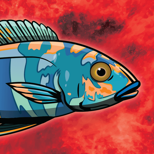Fish Head #7- OB Fryeri - Galaxy Fire