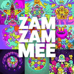 zamzammee collection image