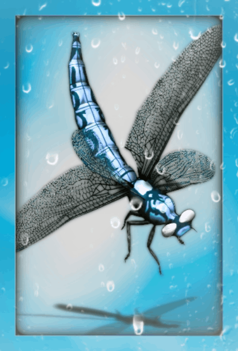 Dragonfly 1st Edition