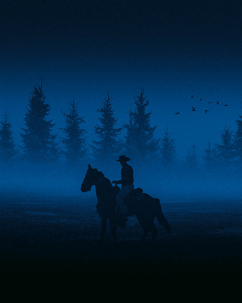 The horse rider