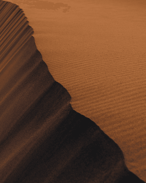 Dune: The Collection #16