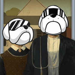 项目媒体占位符