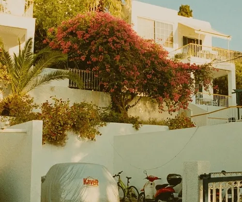 "endless summer"