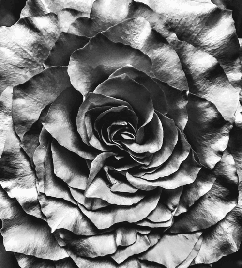 Vintage Black & White