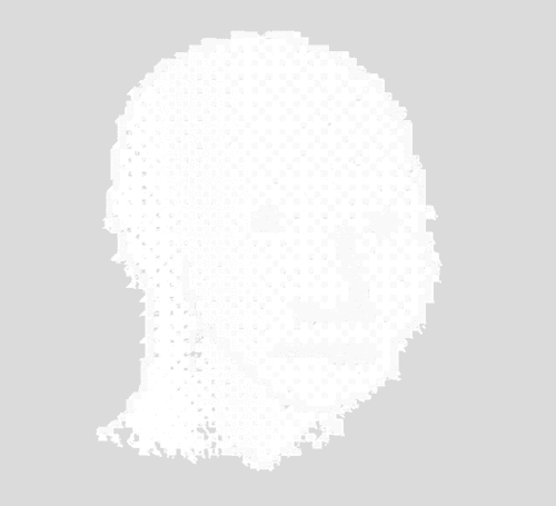 NPC #505