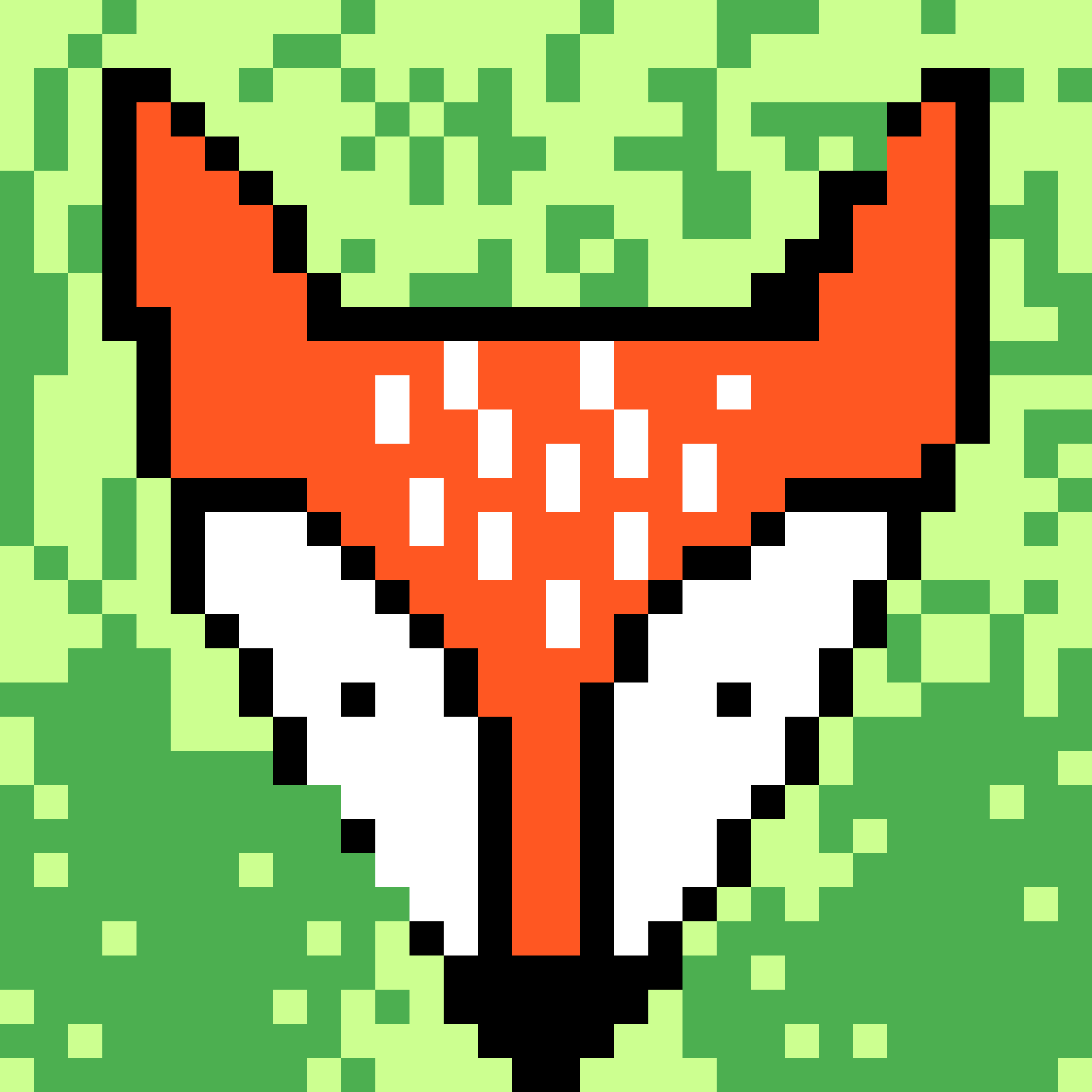 The Petting Zoo Collection OpenSea