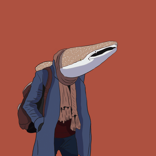 Whale Shark #72
