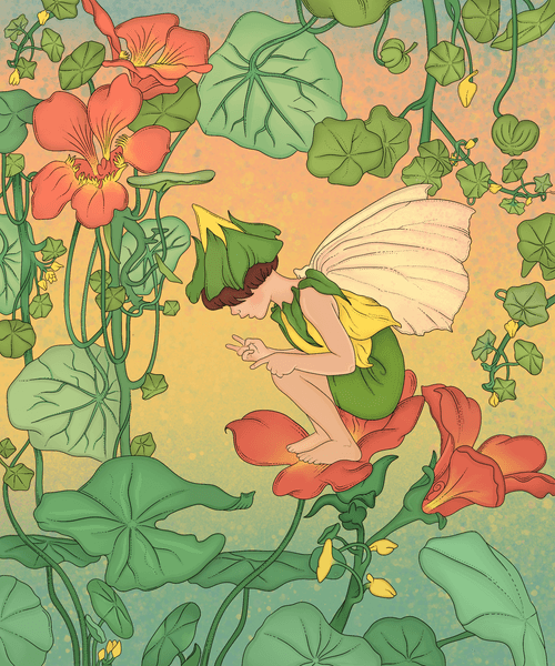 Nasturtium Fairy