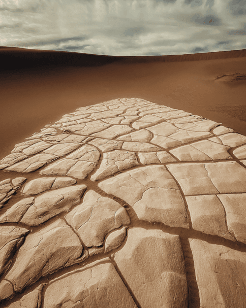 Dune: The Collection #27