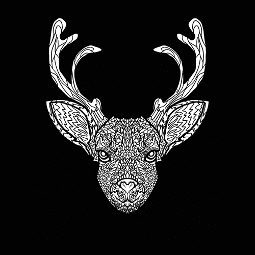 Reindeer