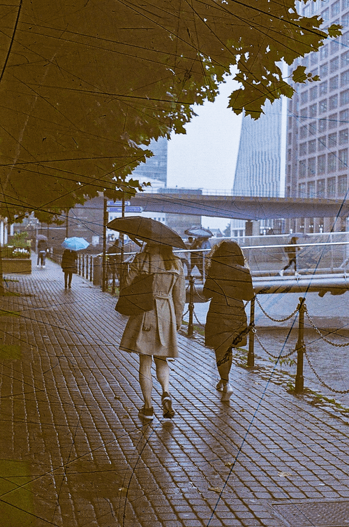 Rainy Day