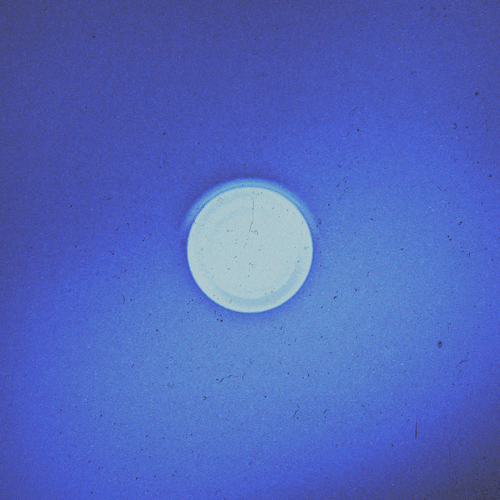 voidthiscollection