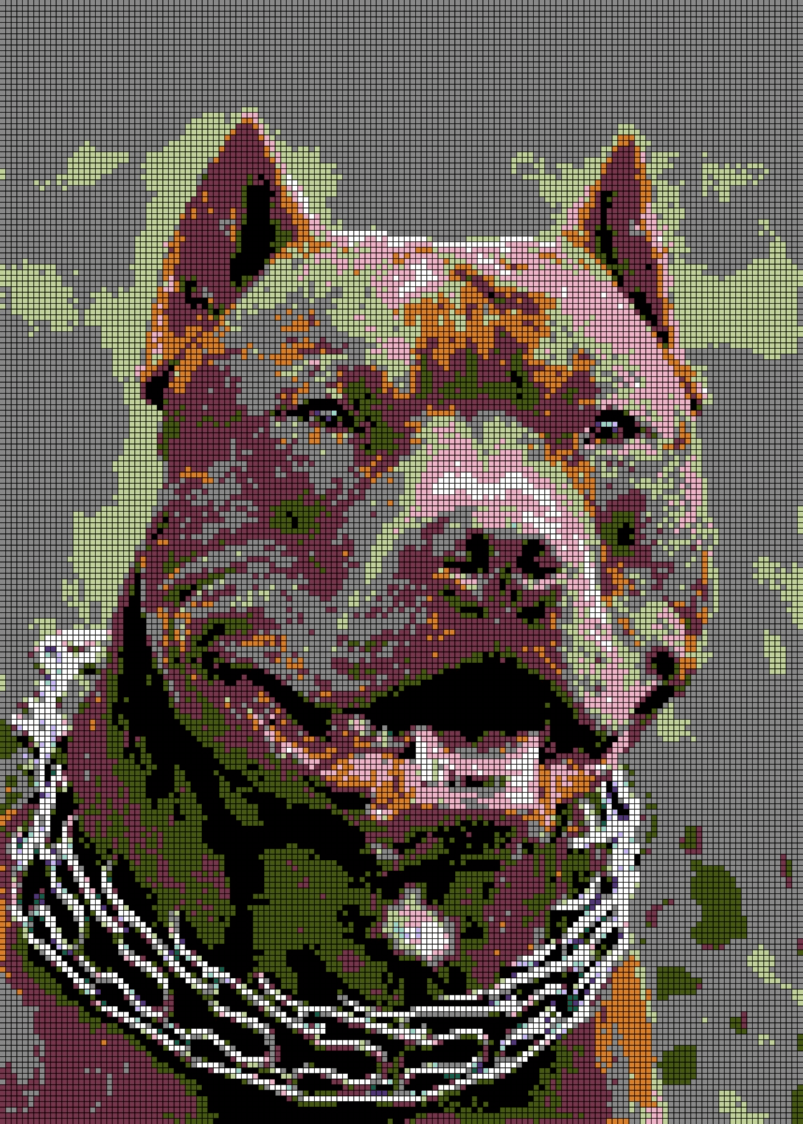 American Pitbull Terrier / Dangerous Dog Breeds