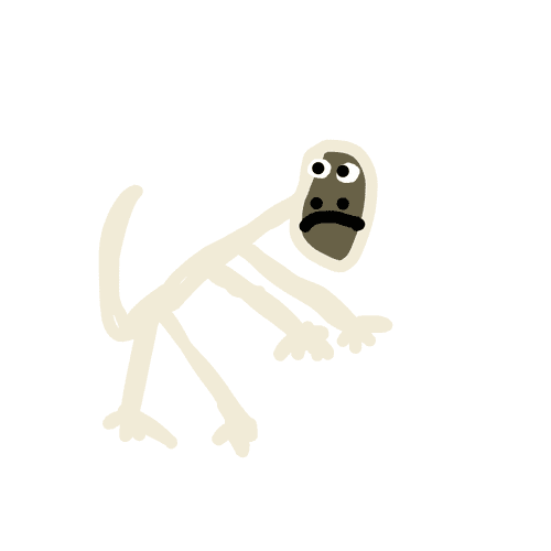 Howler Monkey