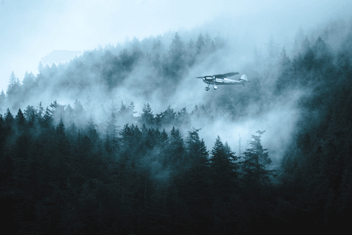 In the Mist of Paradise
