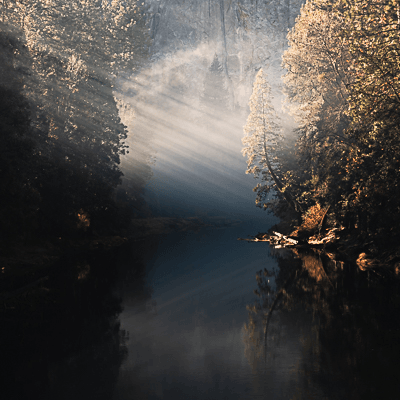 Along the Merced by Patrick Koetzle