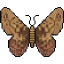 Crypto Moth collection image