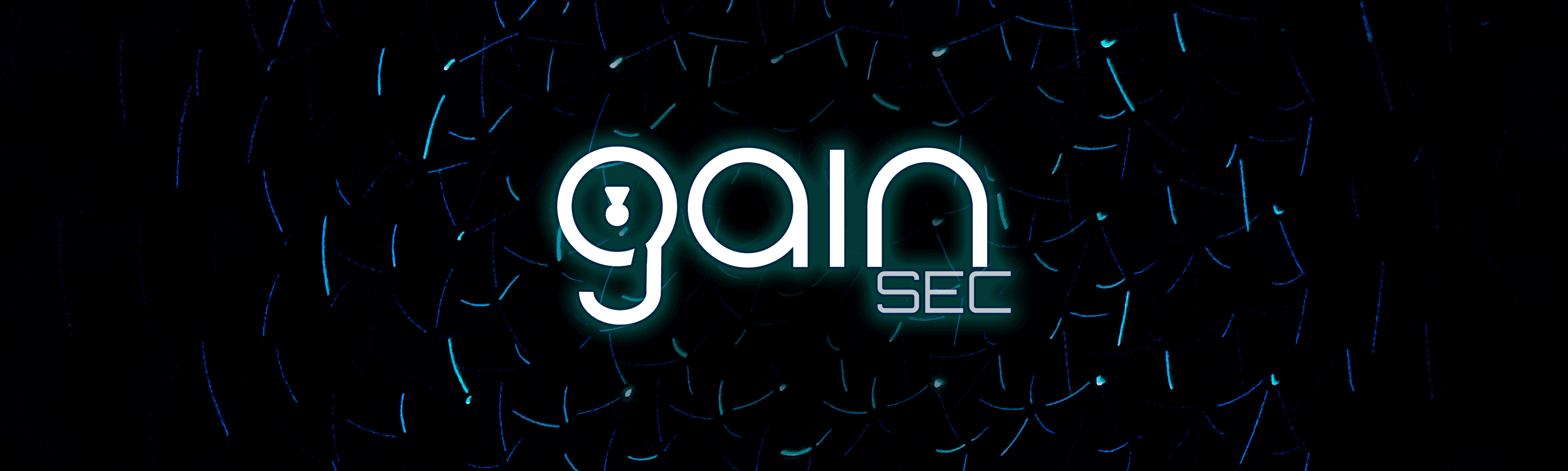 GainSec banner