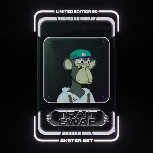 Asset item