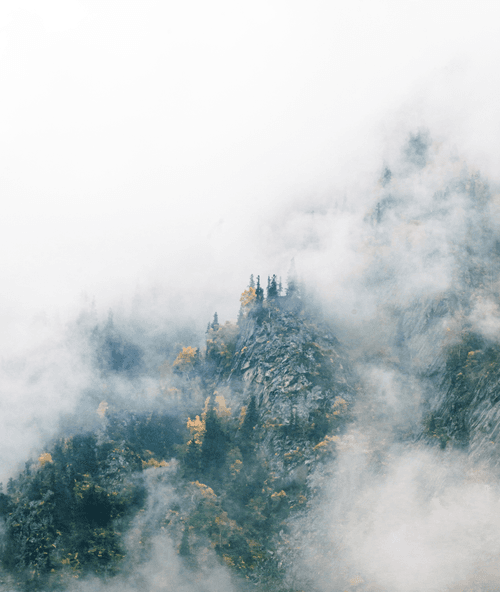 The Kingdom of Fog