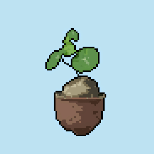 Plant_Collection