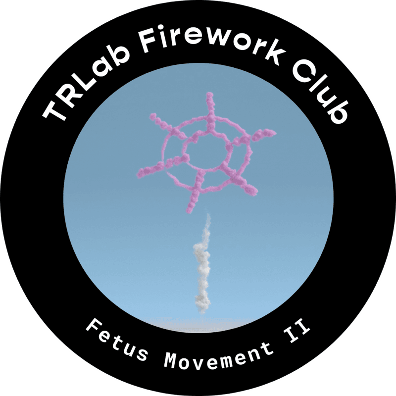 Firework Club - Fetus Movement II