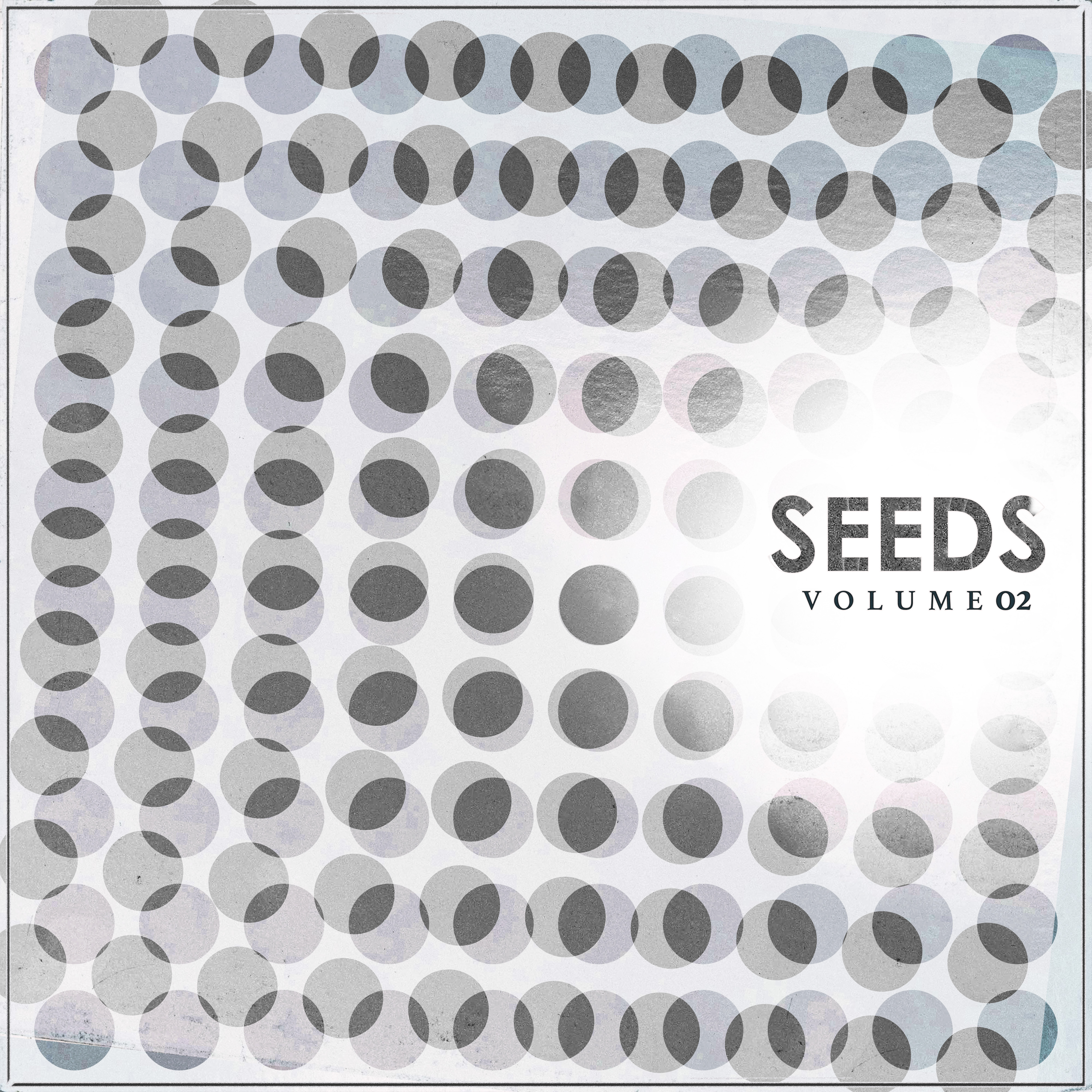 seed #19