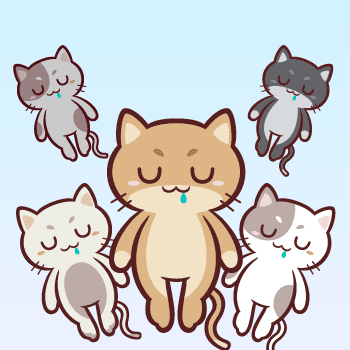 Teko Neko