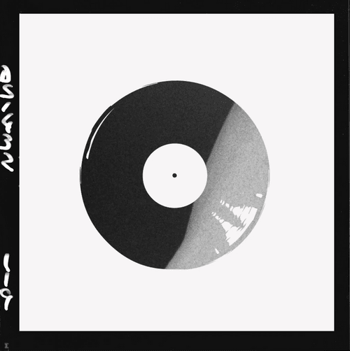 LostShoots - Vinyl 2