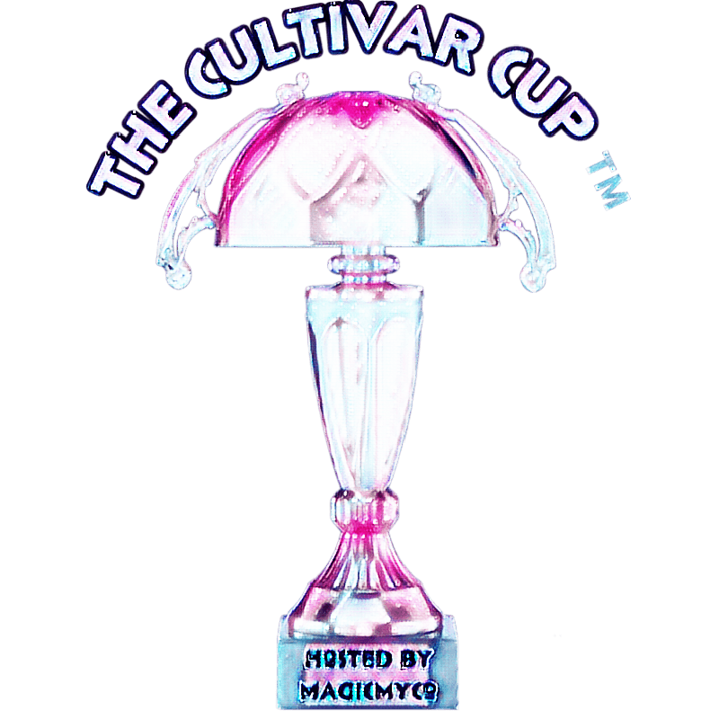 GalaxyMyco Cup