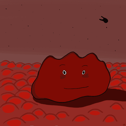Doji Crew Pet Space Rock #5