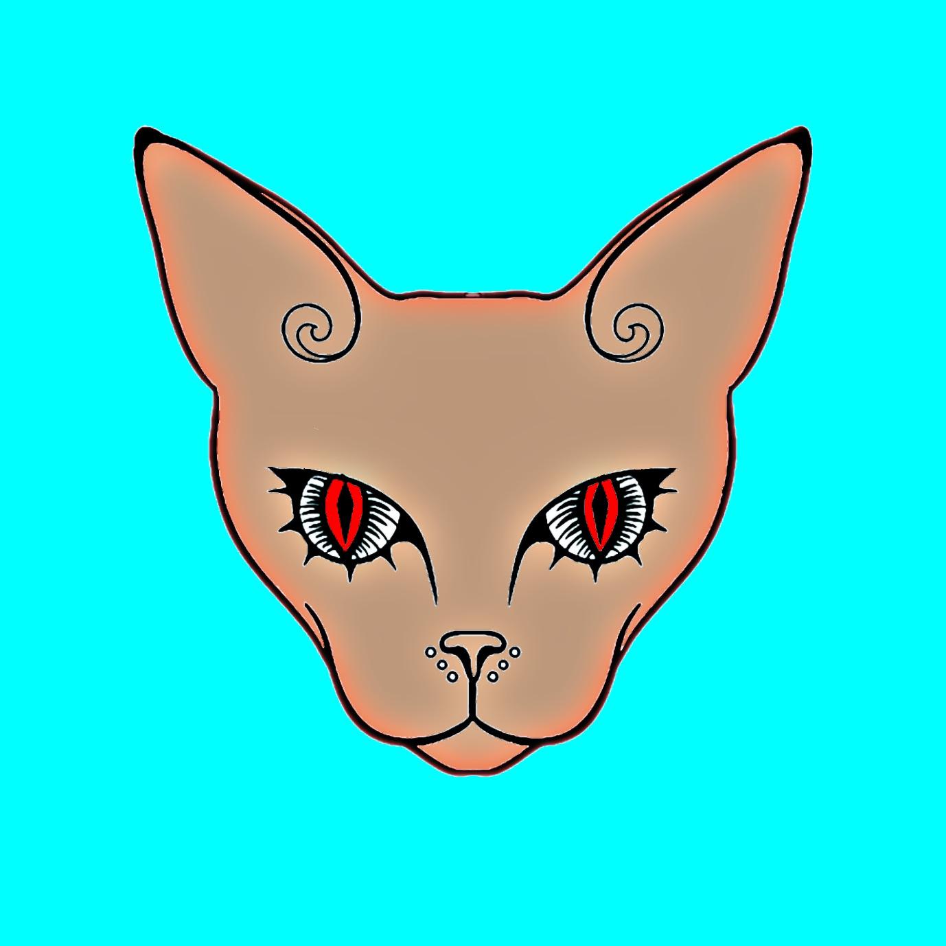 sphynx_cat