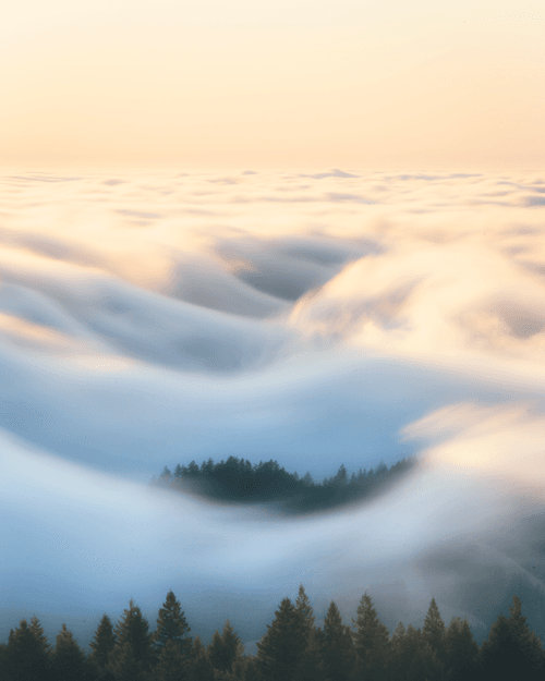 A Symphony of Fog #35