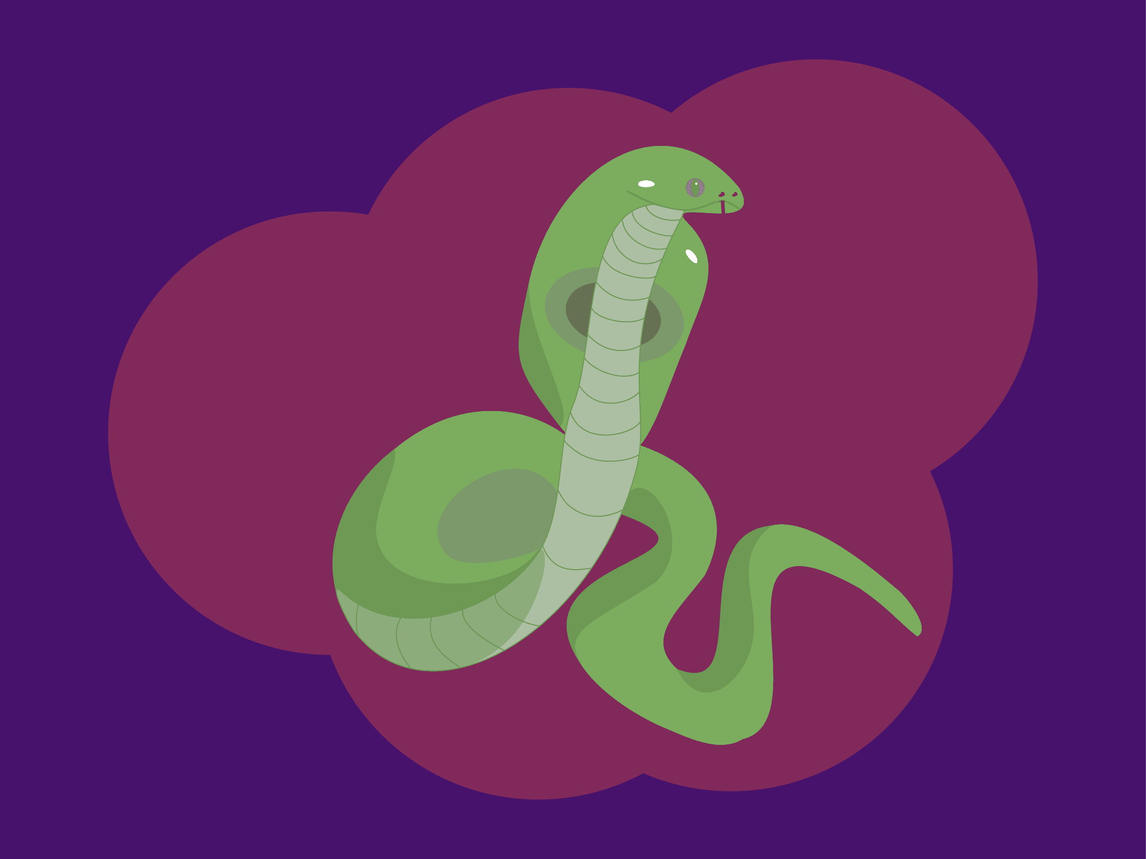 snake-art - Collection | OpenSea