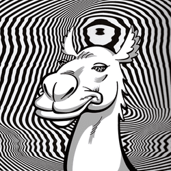Trippy Camels collection image