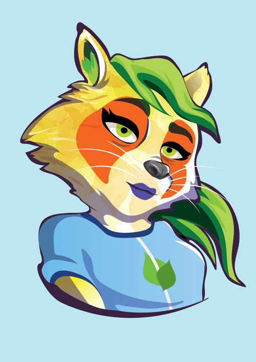 Raccoon-050