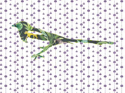 Jungle Magpie