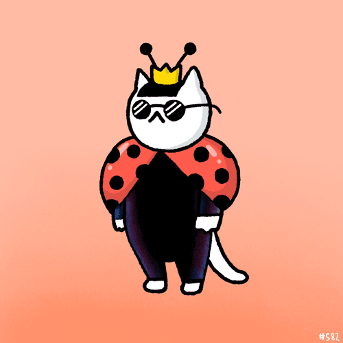 #582