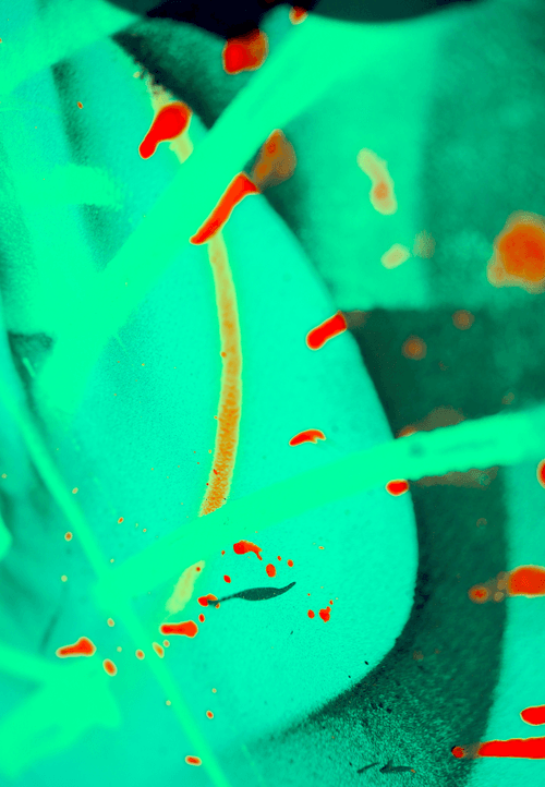 « Beach Waves 122 »