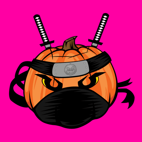 Punkinz #13 "The Ninja"
