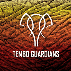 Tembo Guardians Genesis collection image